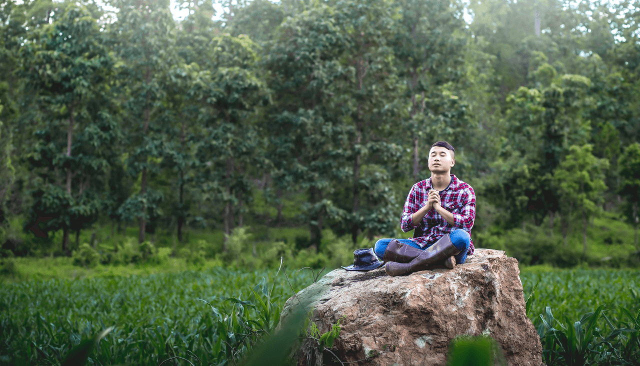 male farmer praying in cornfield